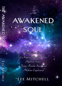 Cover of The AWAKENED SOUL
